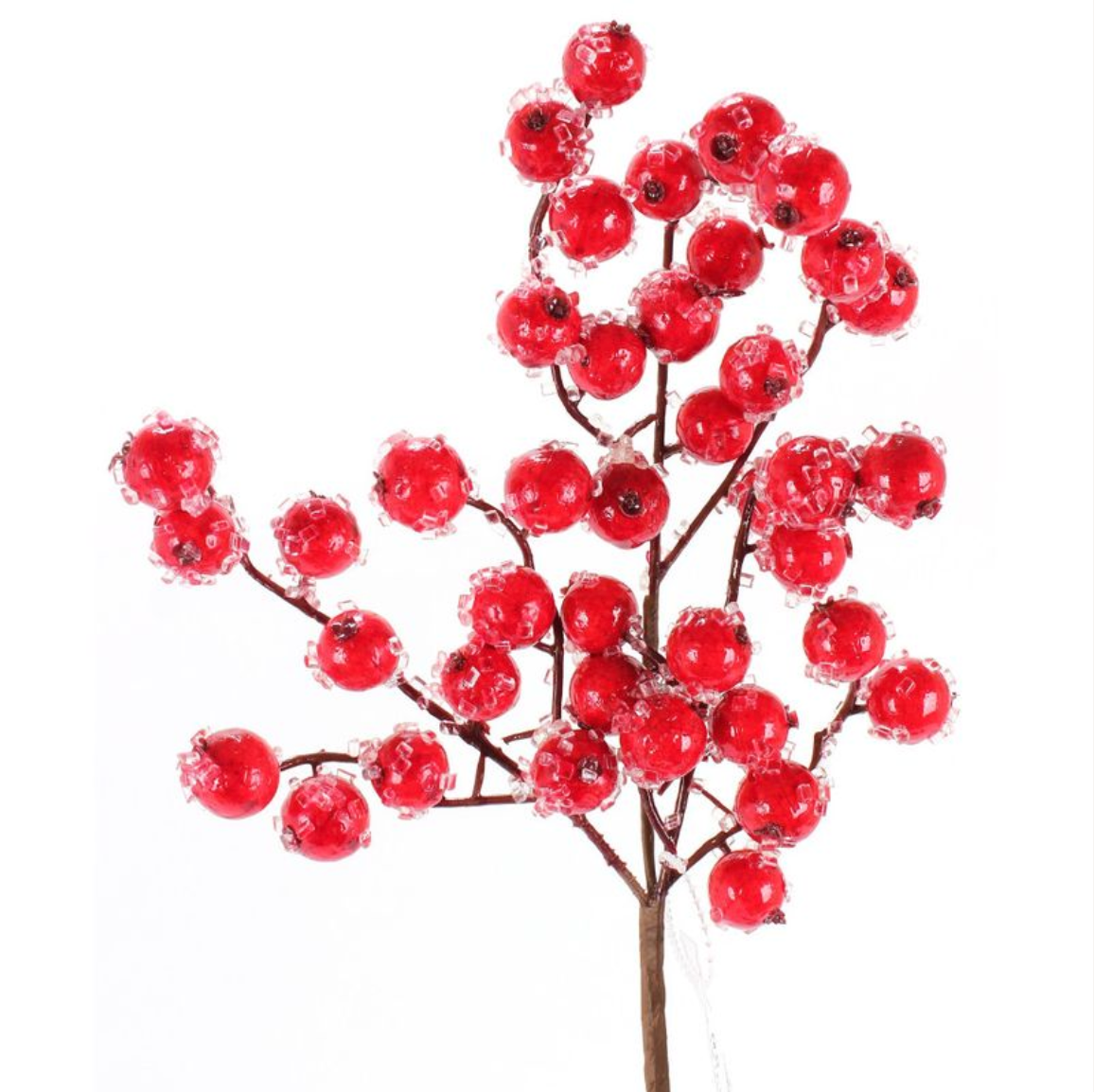 Crabapple Stem - 12"
