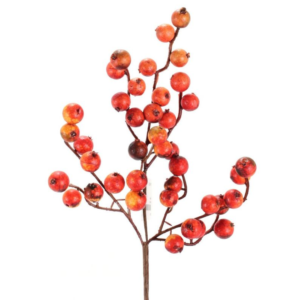 Crabapple Stem - "12