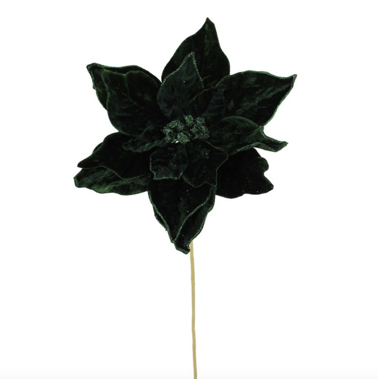 Velvet Poinsettia Stem 20"