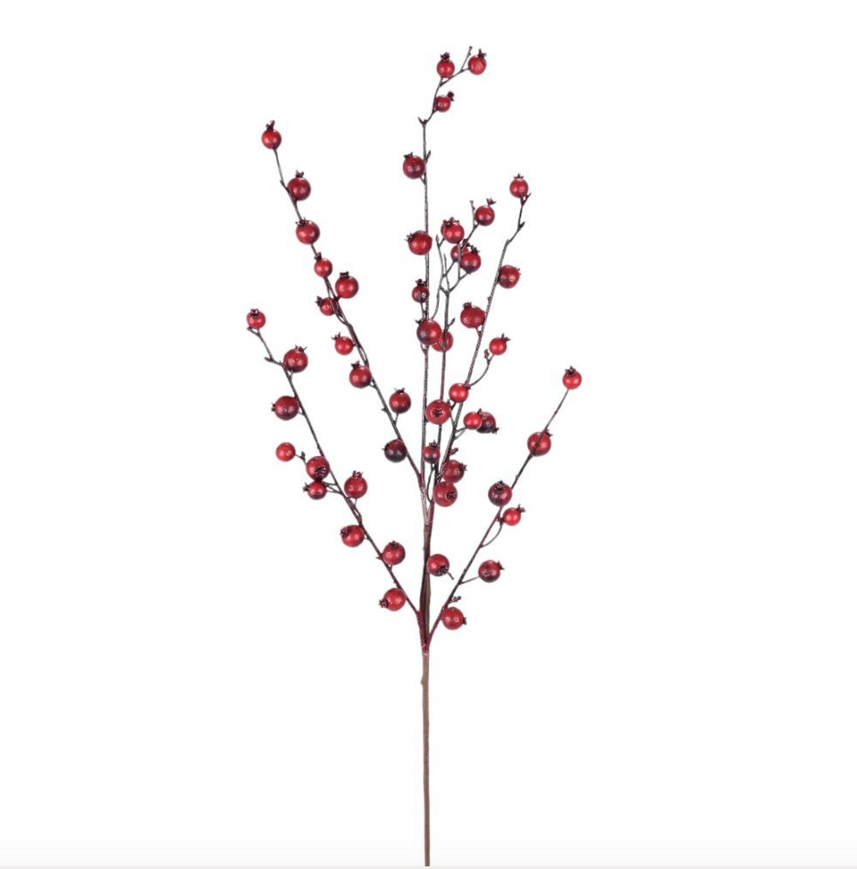 Mini Pomegranate Spray WR 30"
