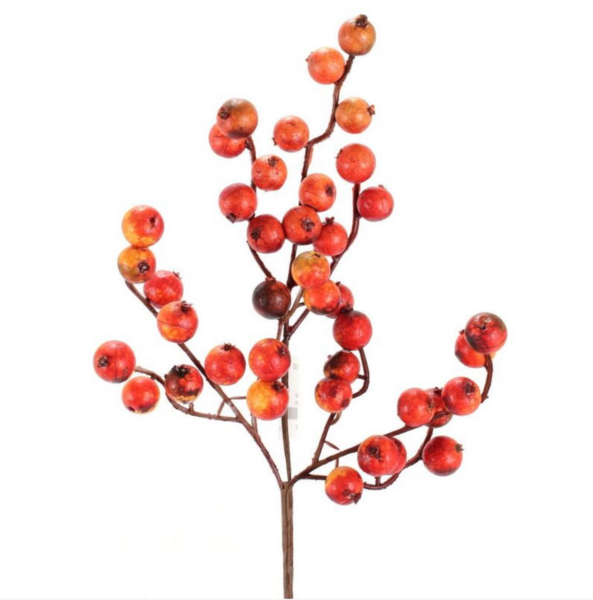 Crabapple Stem - 12"