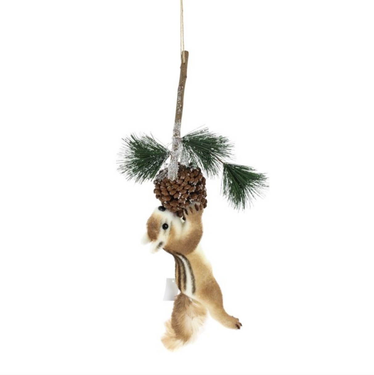 Squirrel with Pinecone Ornament  23.5""