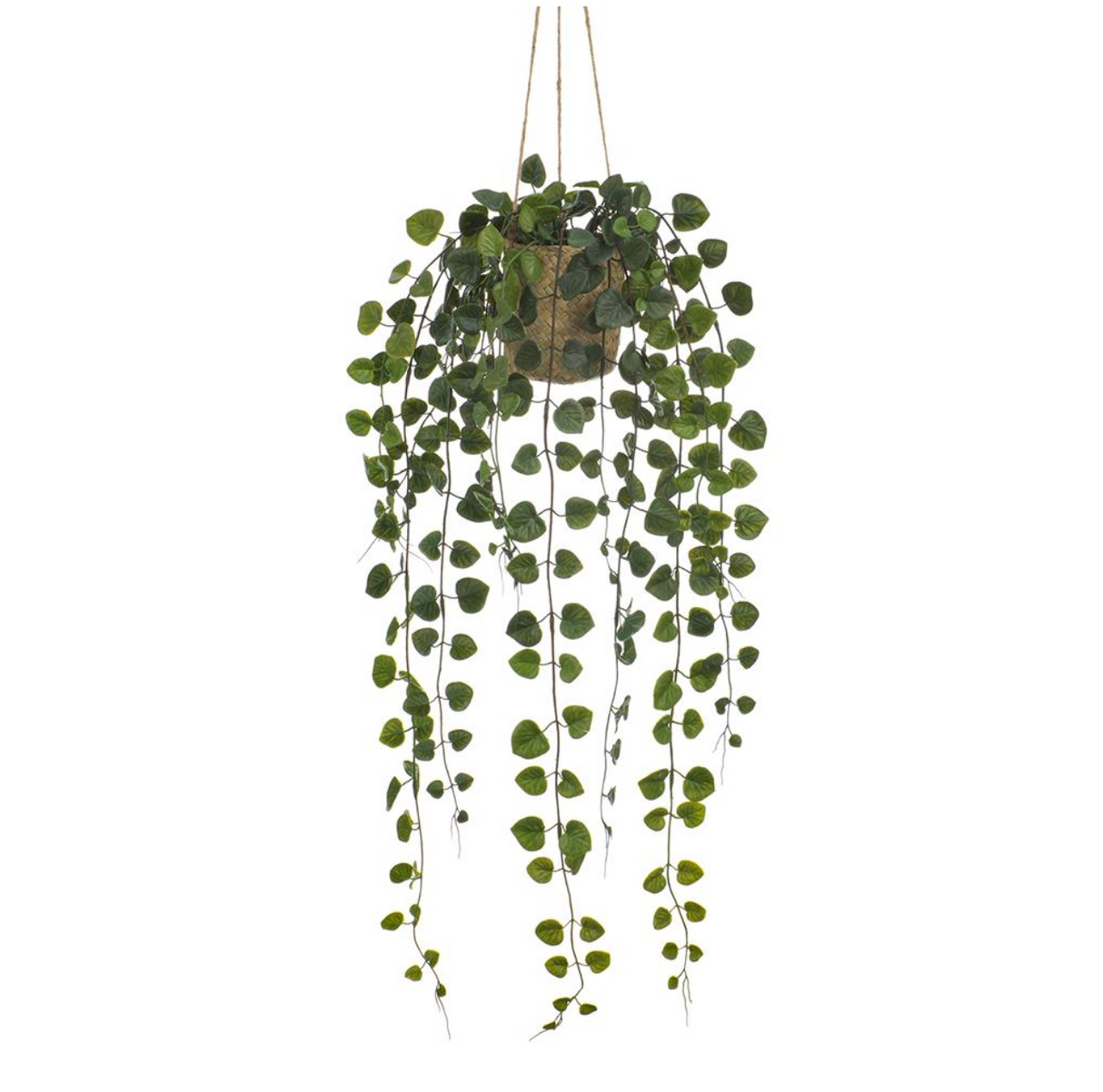 27"Heart-Shape Pothos (Basket)