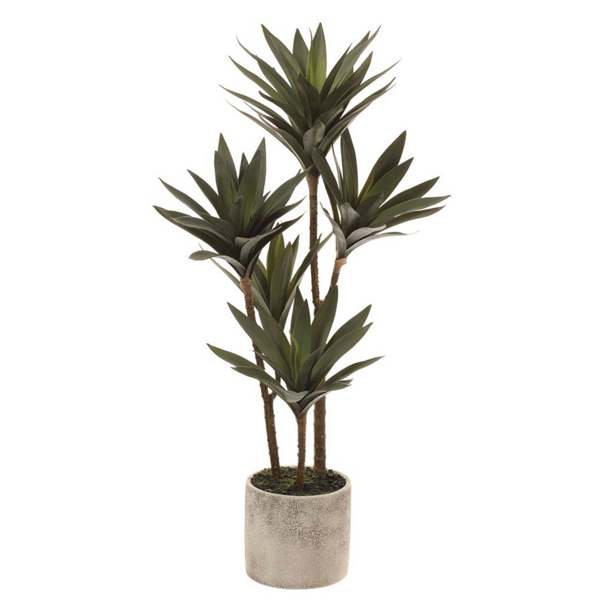 31"Yucca Plant In Cement Pot