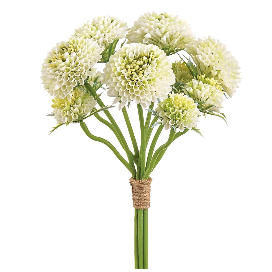 14"Pompon Dahlia Bundle