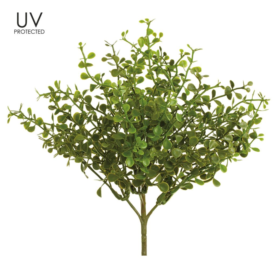 9"Uv Protect.Button Fern Bush