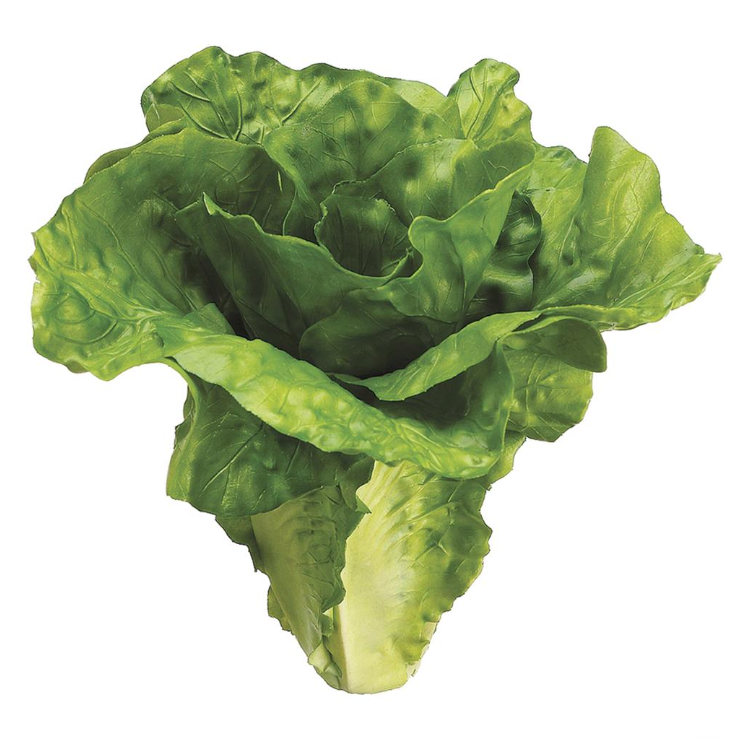 6" Lettuce - Green