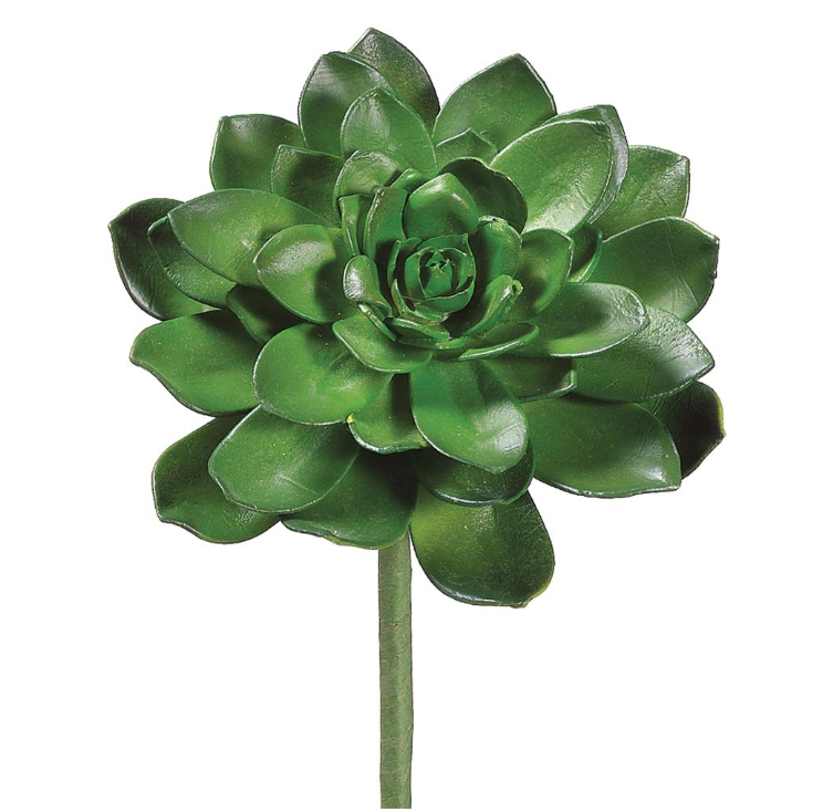 8"Echeveria Pick - Green