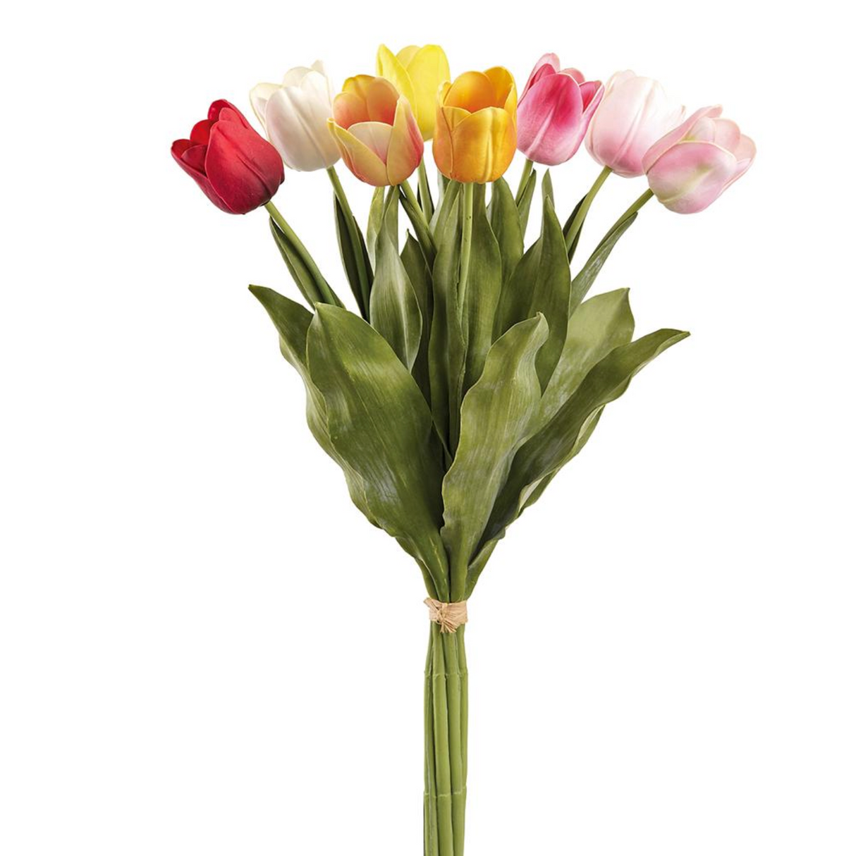 27" Tulip Bundle