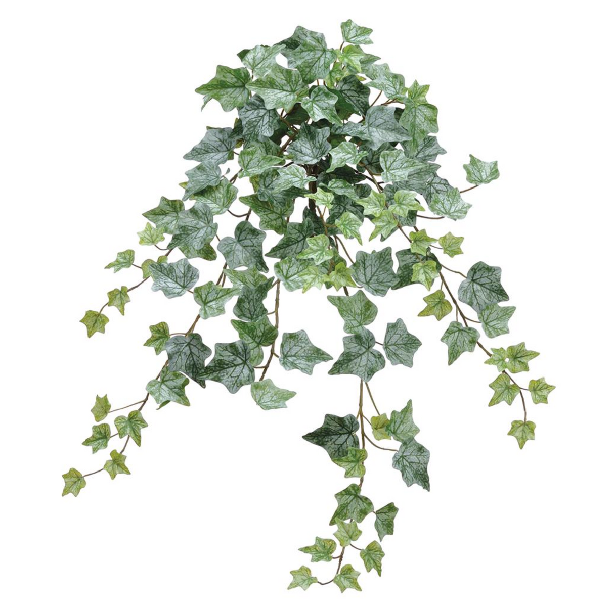28" Ivy - Green