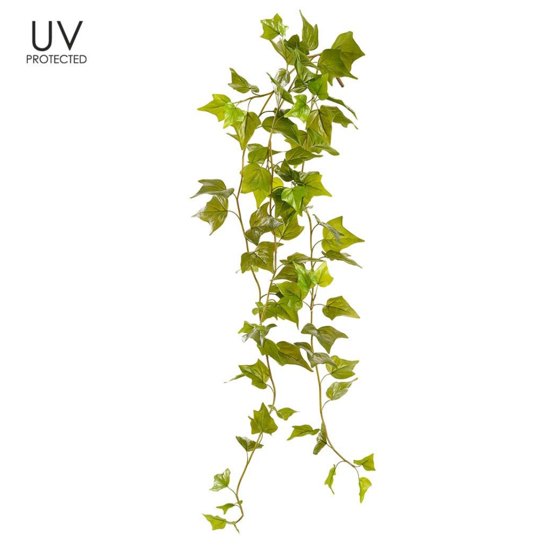 48"Uv Protect Ivy Hanging Bush