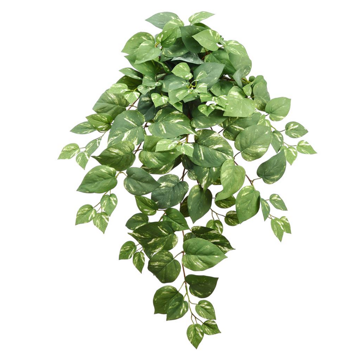 33"Pothos Hanging Bush - Green