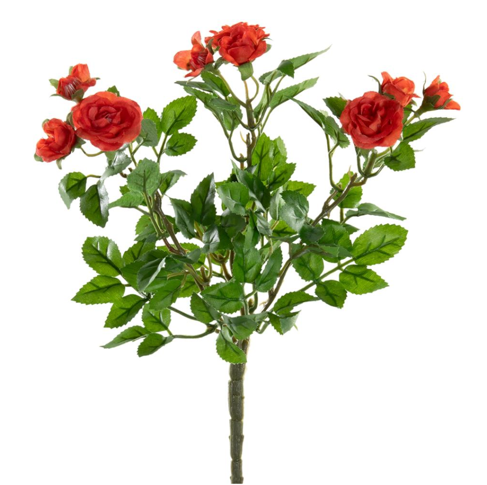 10"Mini Rose Bush