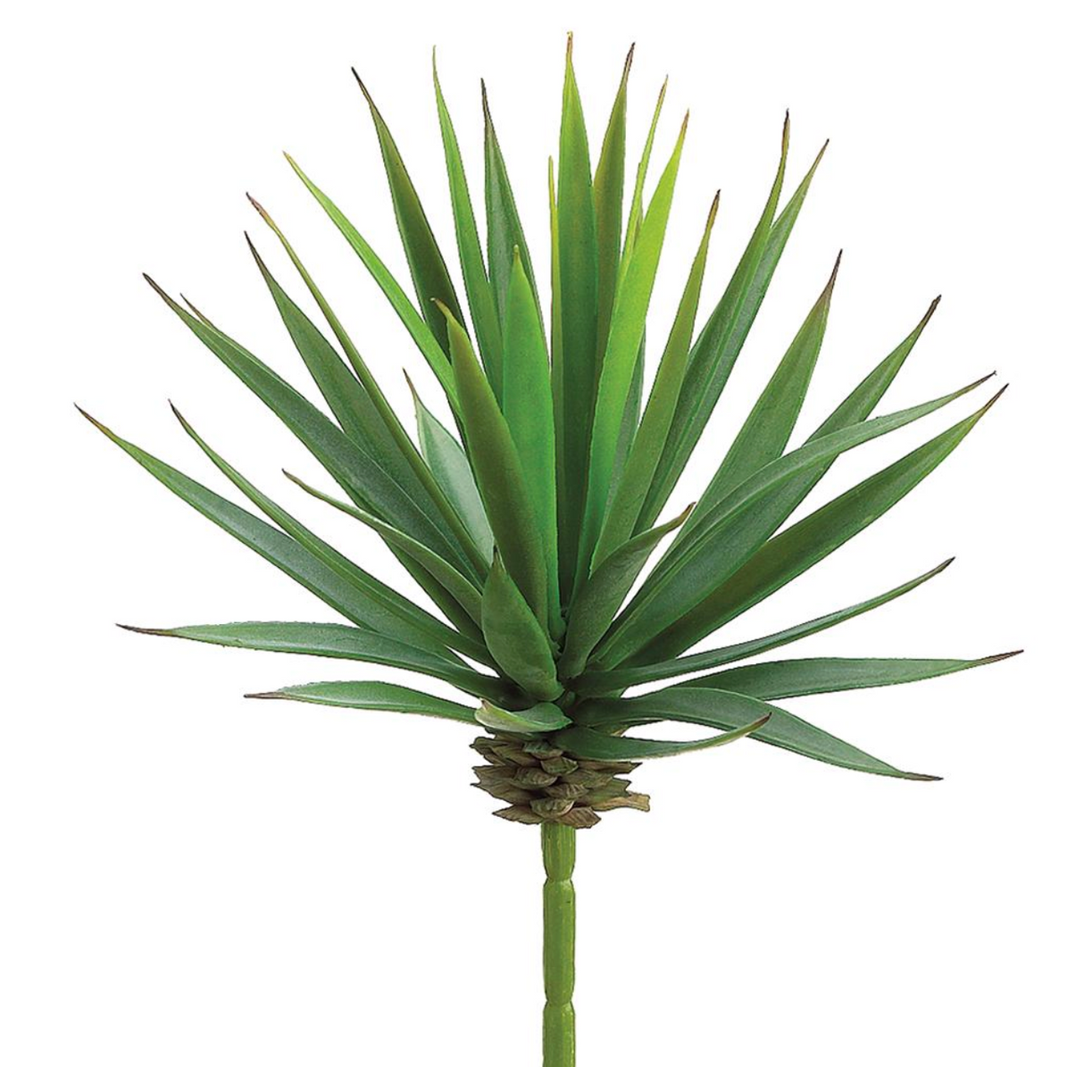 8"Yucca Pick - Green
