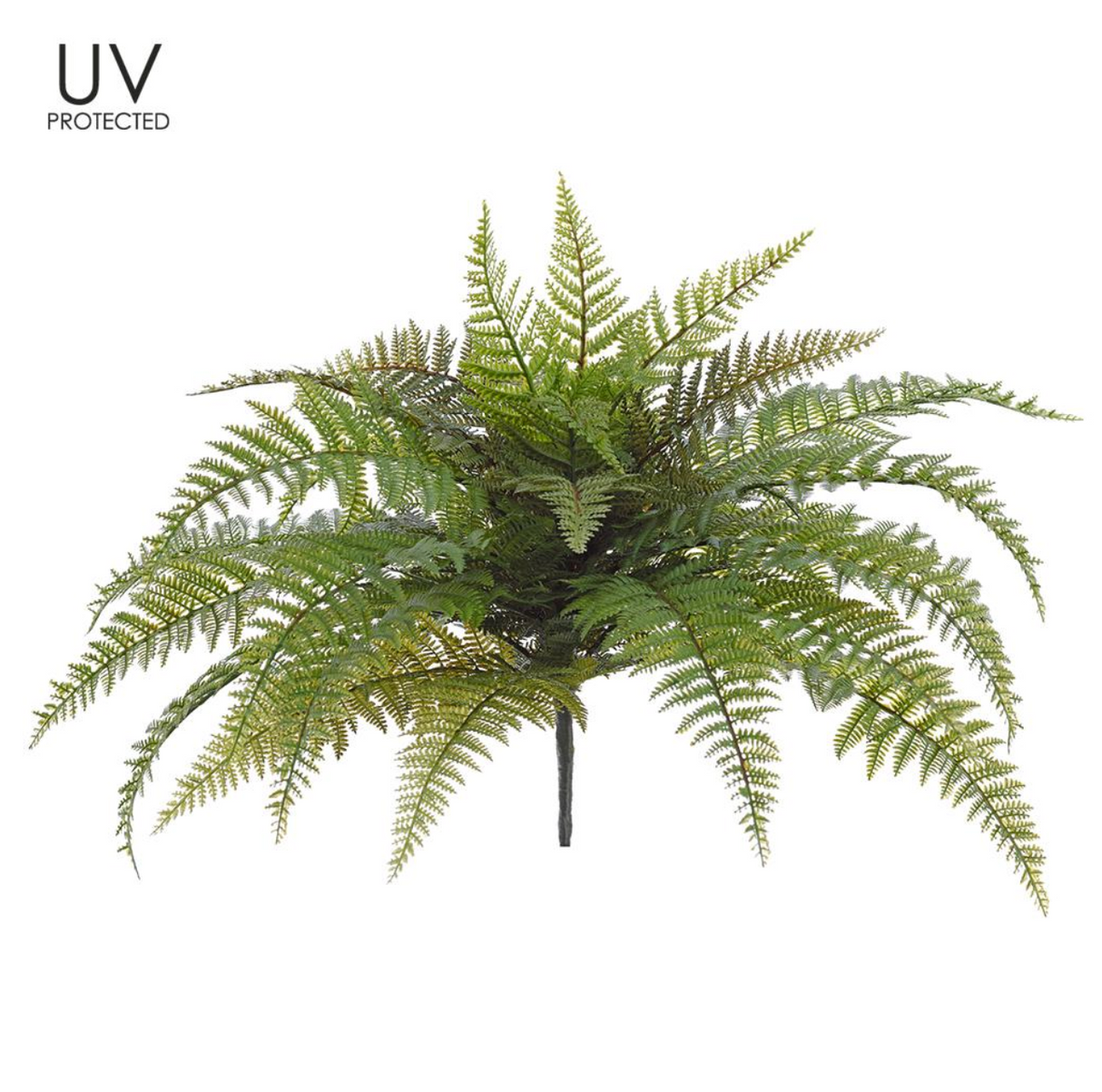 27"W18"H Uv Leather Fern Bush