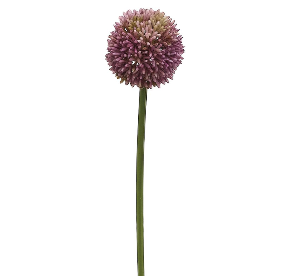 21.5"Allium Spray