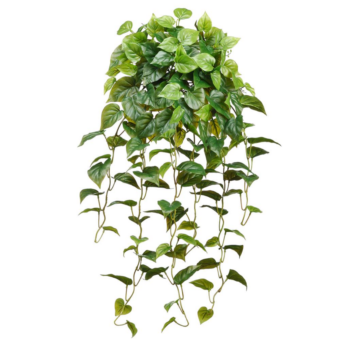 36"R + T Philo Hanging Bush