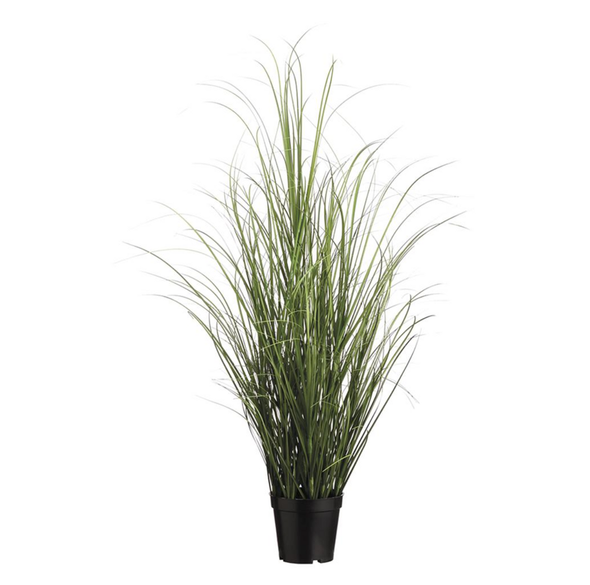 39" Grass Bush In Pot