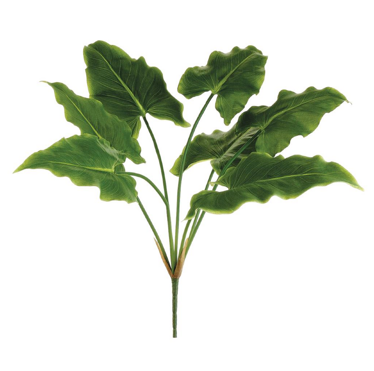 28"Calla Lily Leaf Bush