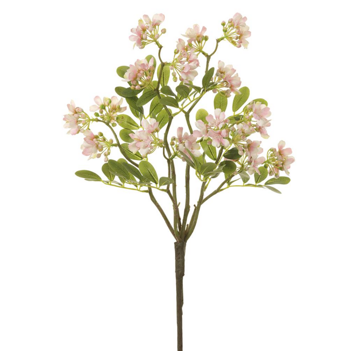 22"Stephanotis Spray