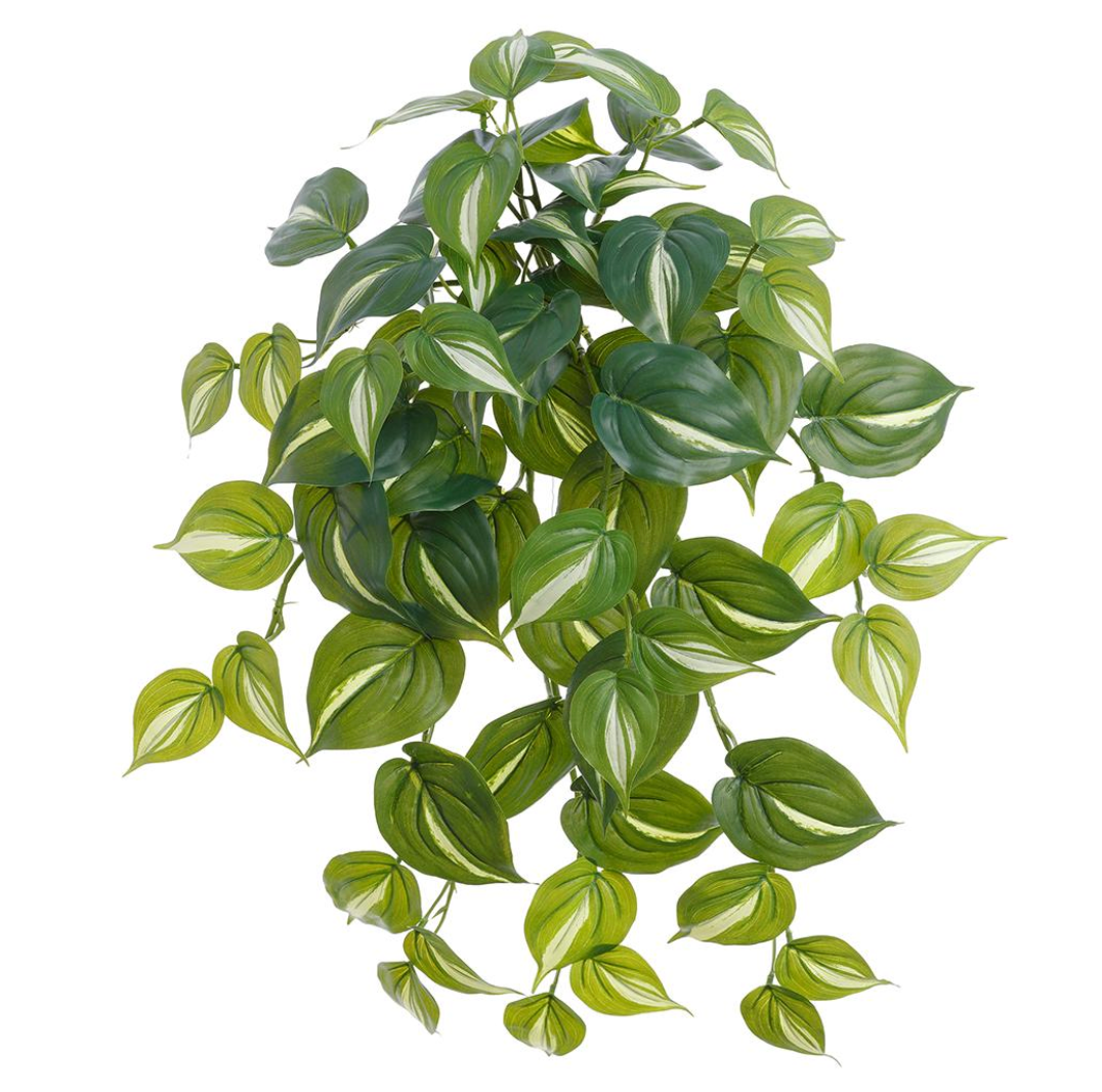 23"Philo Hanging Bush