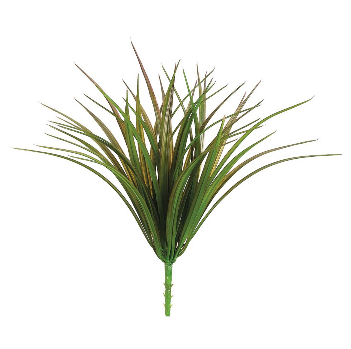 12"Vanilla Grass Bush