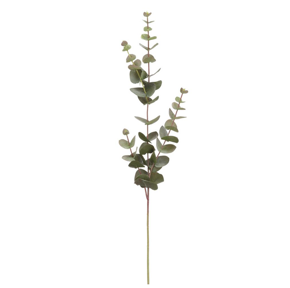 32"Eucalyptus Spray