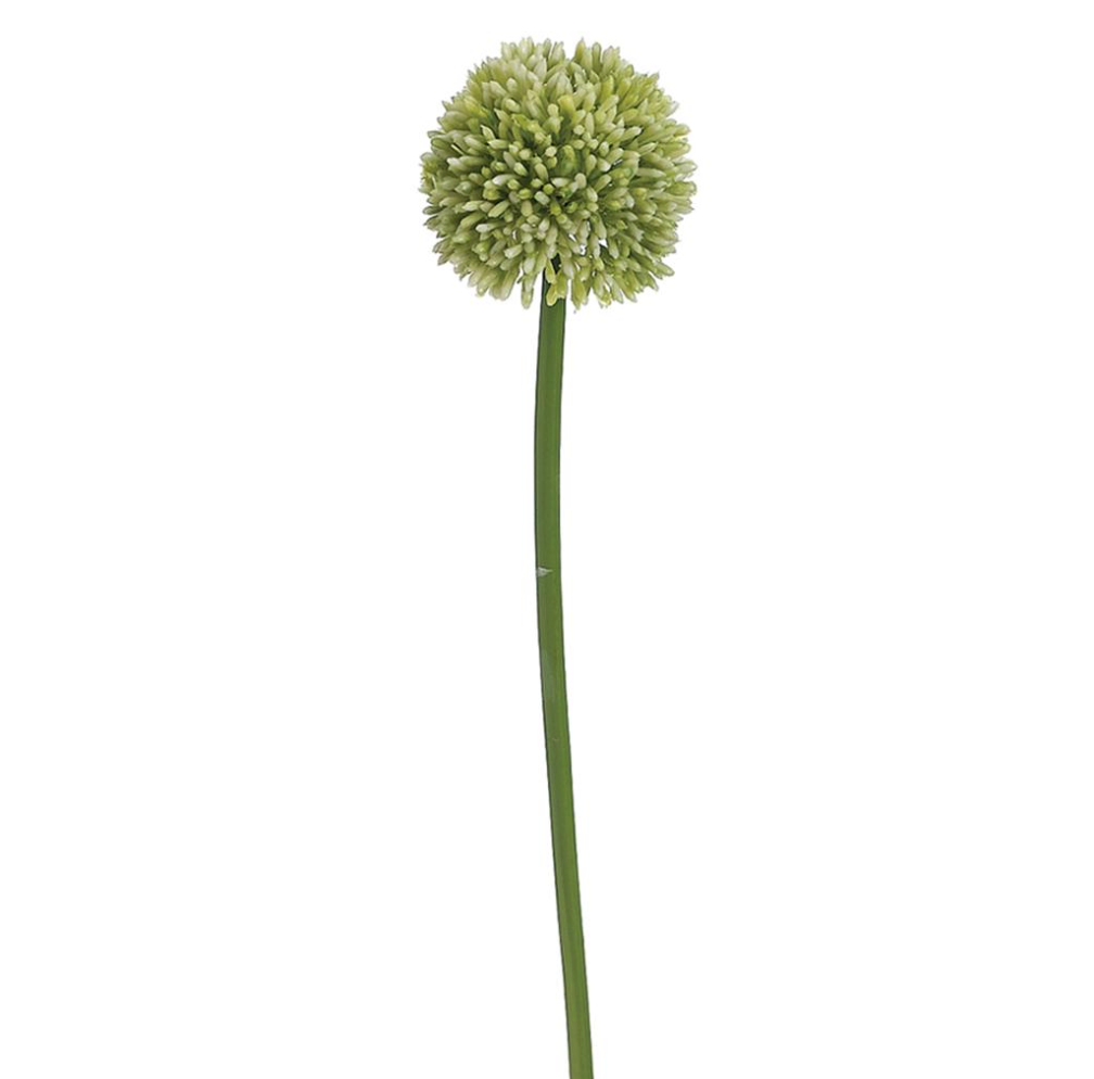 21"Allium Spray