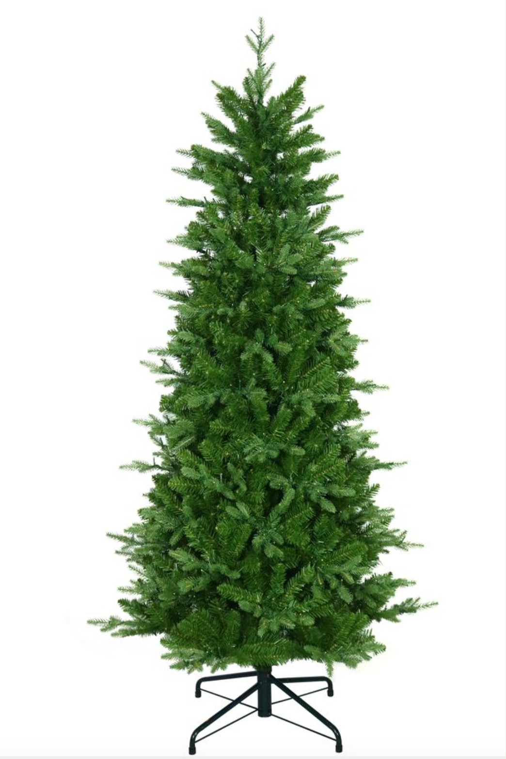 6.5" Alberta Slim Spruce