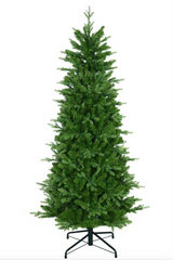 6.5" Alberta Slim Spruce