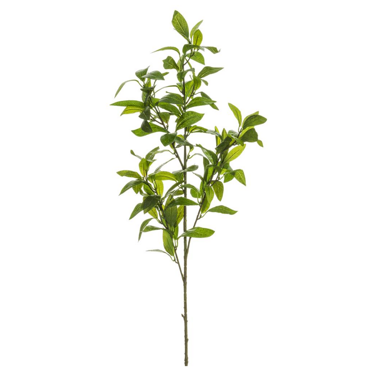37"Laurel Leaf Spray - Green
