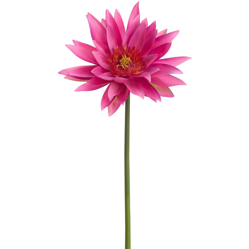 27" Water Lily Spray