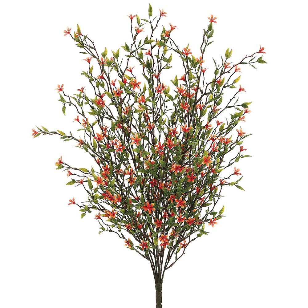 20" Wild Starflower Bush