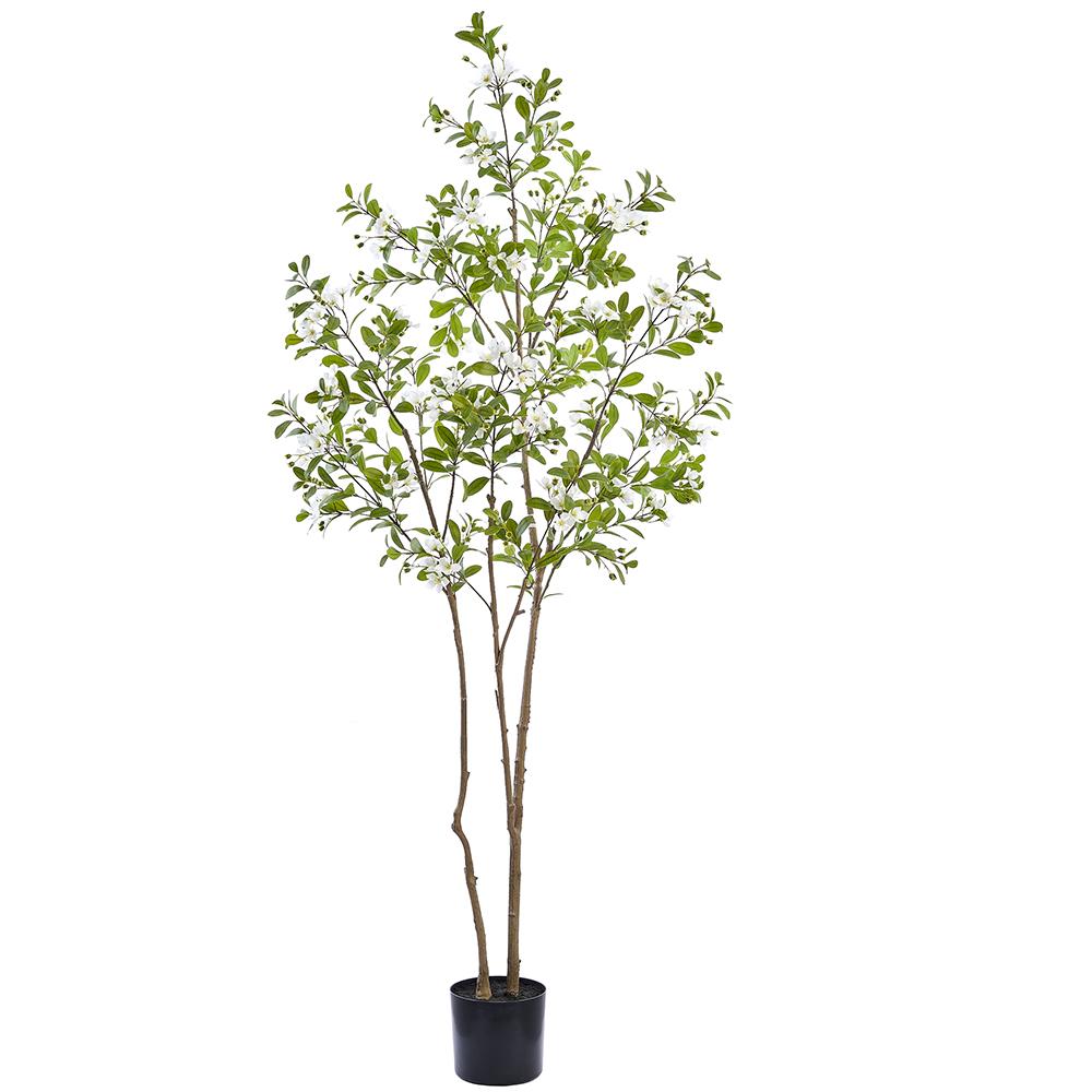 81.5"Rose Myrtle Tree