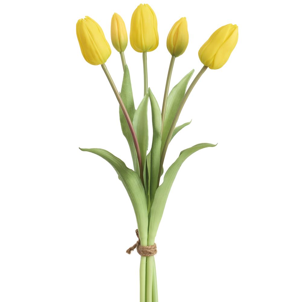 16"Rt Dutch Tulip Bouquet