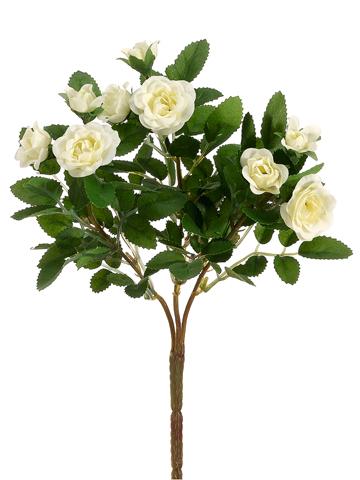 10"Mini Rose Bush