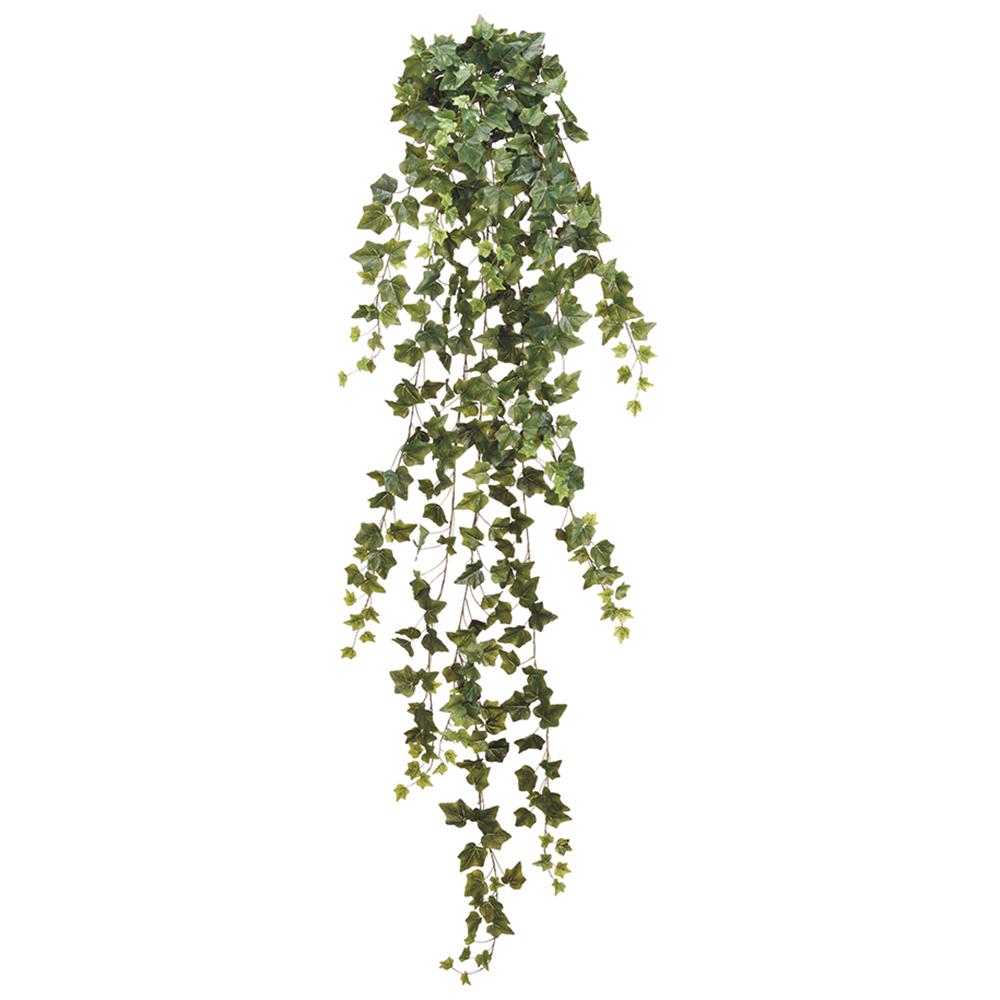 70" English Ivy Hanging Bush