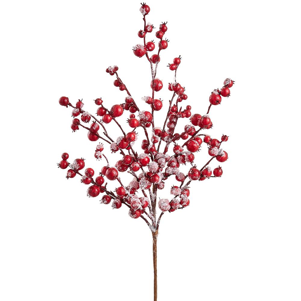22"Snowed Rosehip Spray - Red