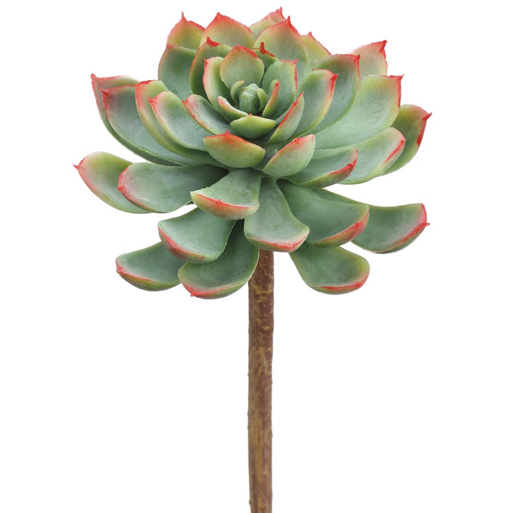 7"Real Touch Echeveria Pick