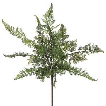 15"Leather Fern Bush GR