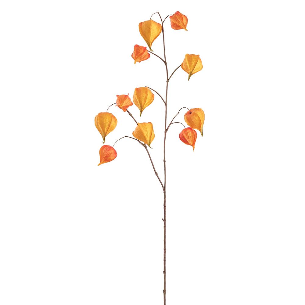 39"Chinese Lantern Spray X2 - Orange