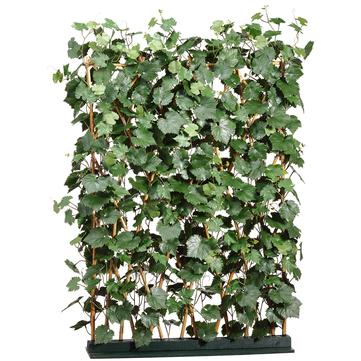 61"x 45" Grape Ivy Fence - GR