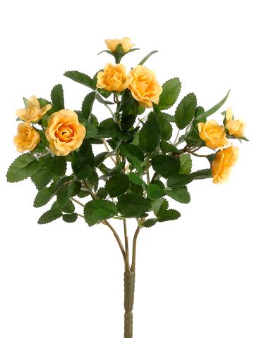 10"Mini Rose Bush