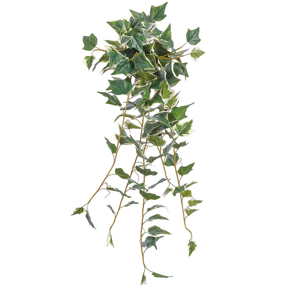 48"Ivy Hanging Bush