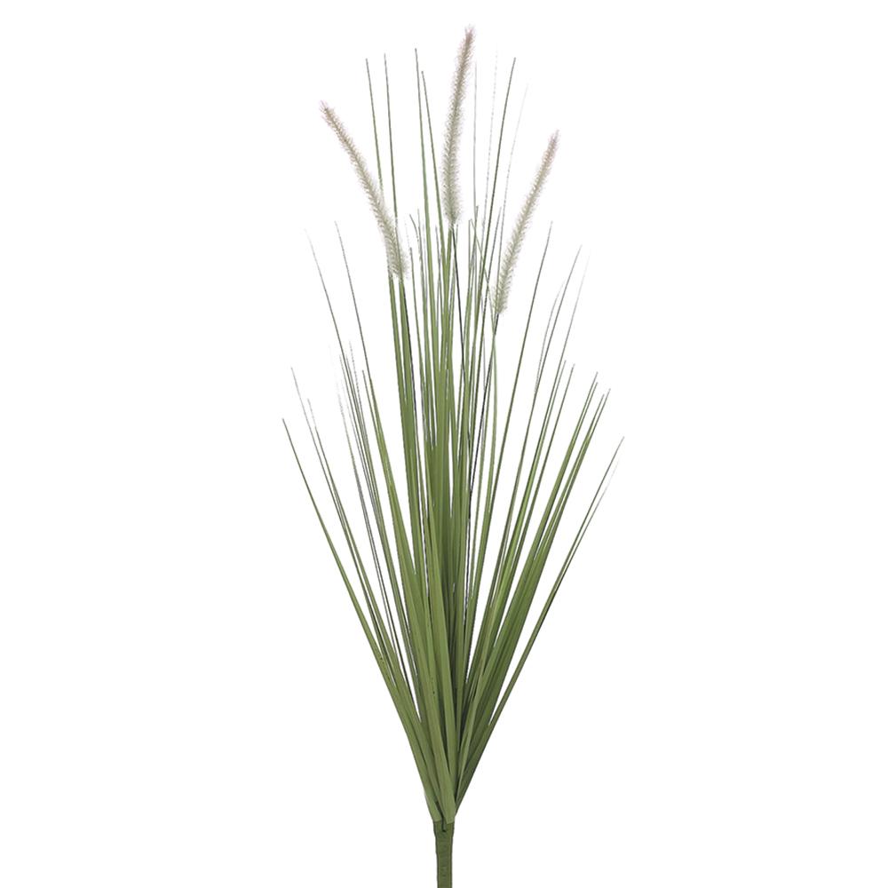 36"Dogtail Bush