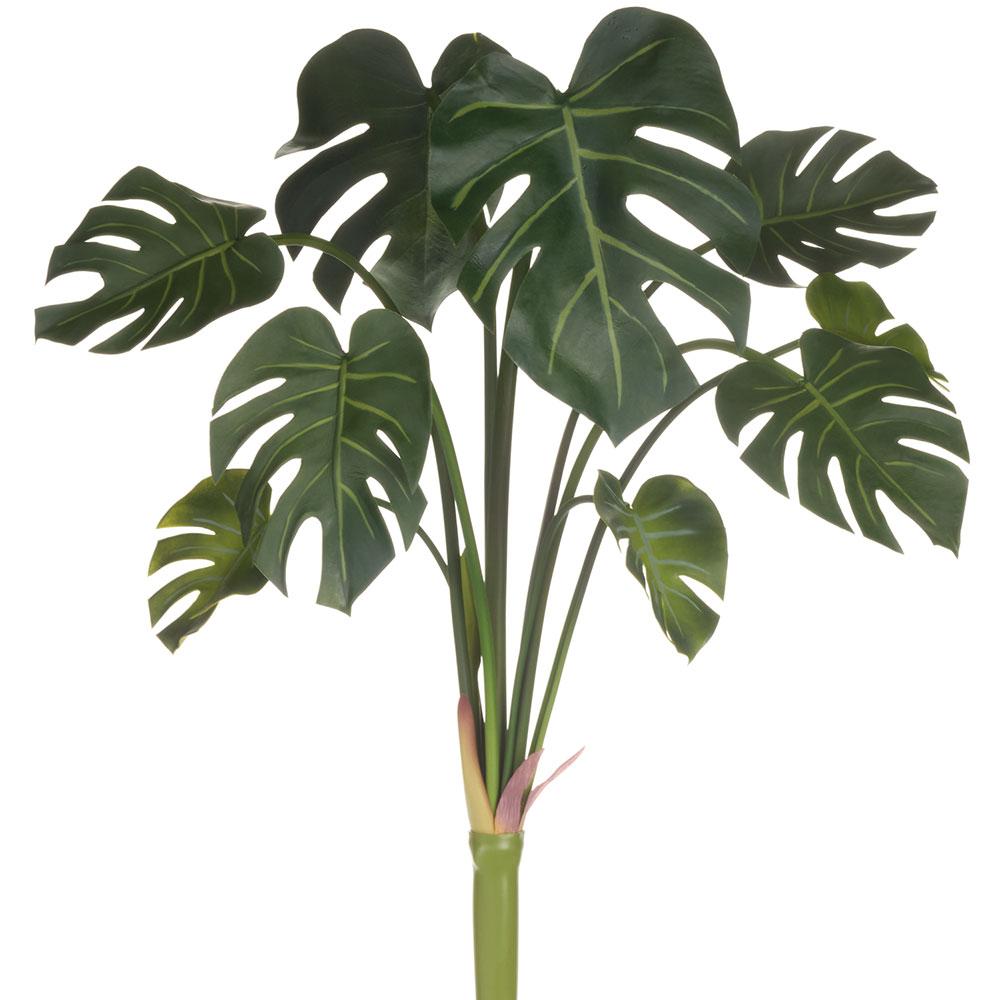 23.5"Monstera Bush