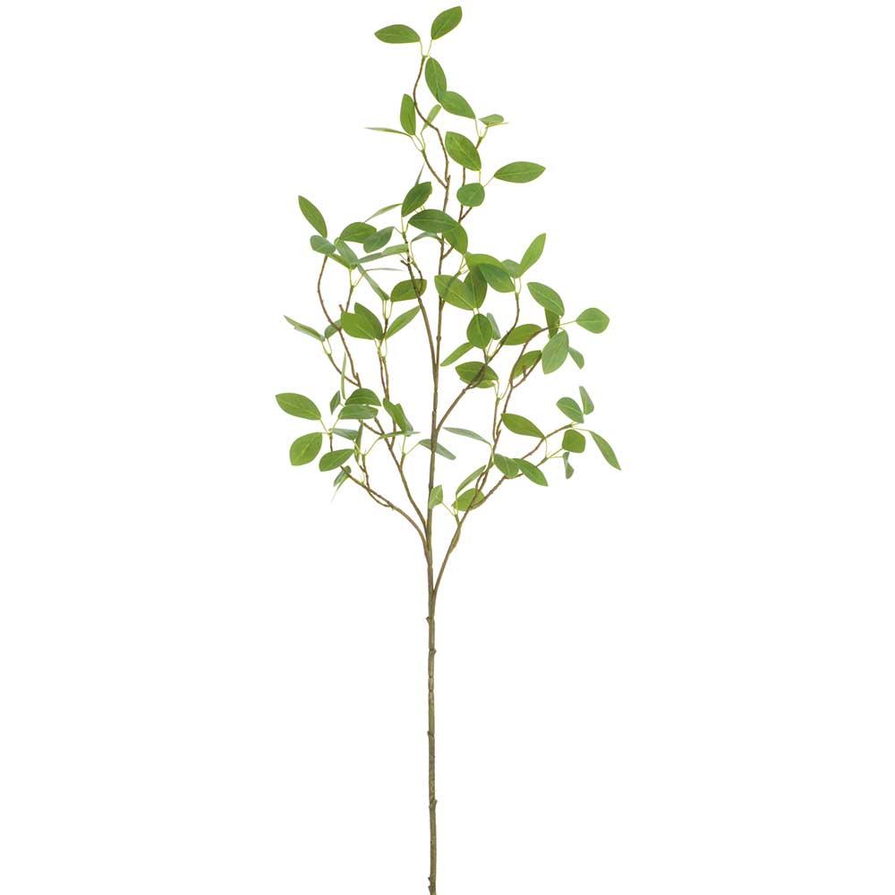 41"Banyan Leaf Spray