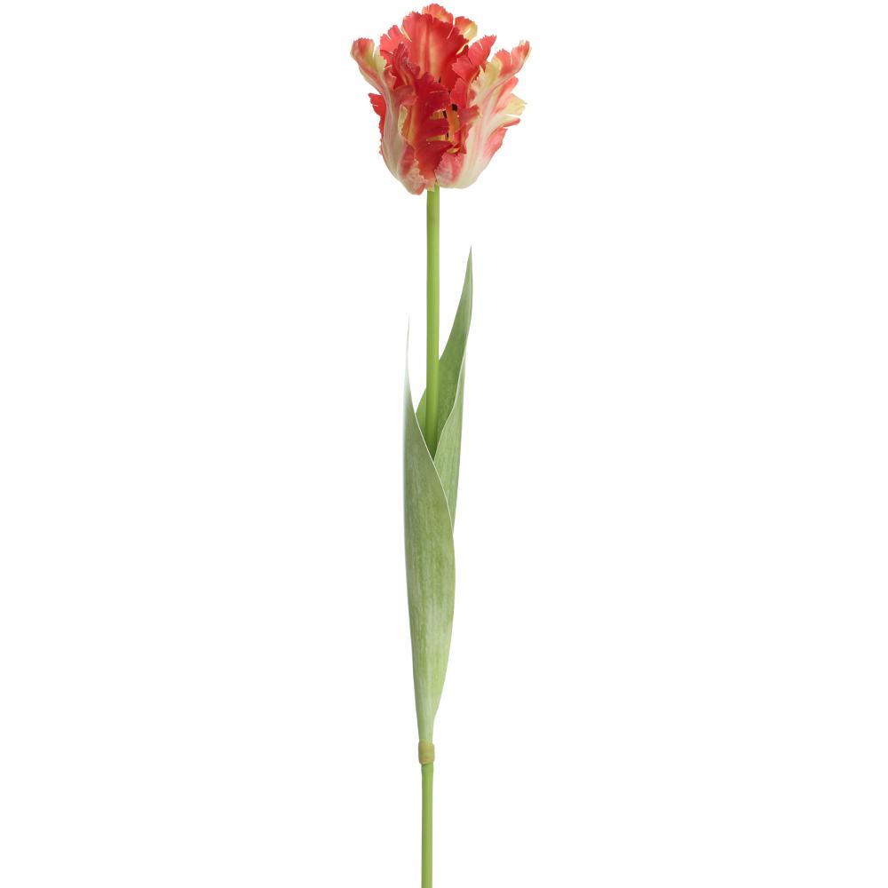 27" Parrot Tulip Spray - Red  Yellow