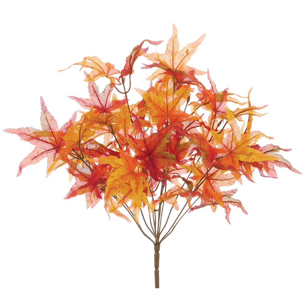 17" Japa Maple Leaf Bush X12 - Orange Flame