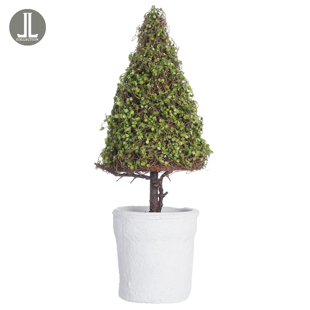 18"Baby's Tear Cone Topiary